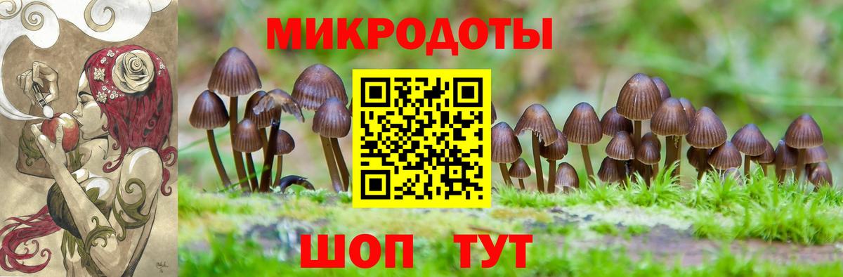 Галлюциногенные грибы MAGIC MUSHROOMS  Вход с VPN  Тобольск  Галлюциногенные грибы Psilocybine cubensis 